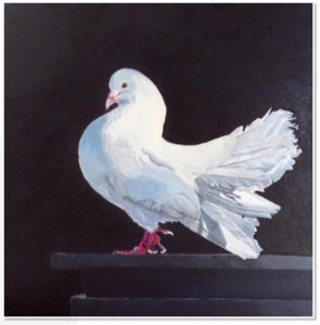 Jen Wong. Dove. Acrylic on canvas.