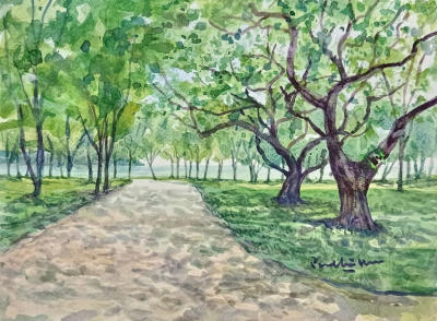 Enchanting Pathway 2023 Watercolour on paper 30 x 22.5 cm