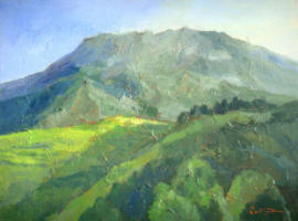 Mountains 2014 Acrylic on canvas 61 x 46 cm
