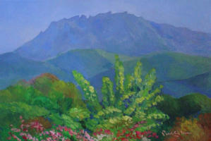 Mountain Kinabalu 2008 Acrylic on canvas 46 x 30 cm