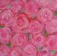 Roses R1 2009 Acrylic on canvas 15 x 15 cm